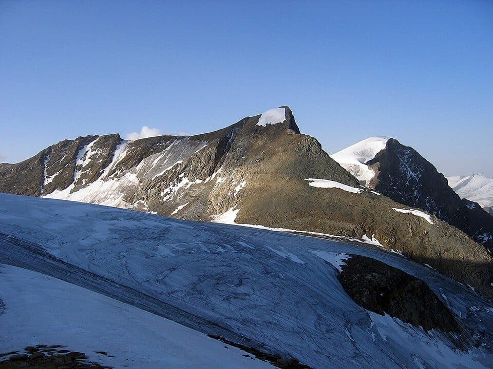 Hinterer Bratschenkopf