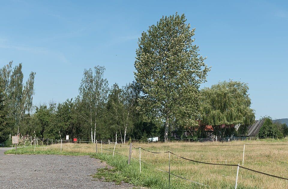 Giełczów