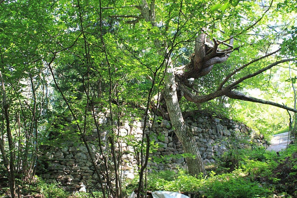 Burgruine Ödenfest