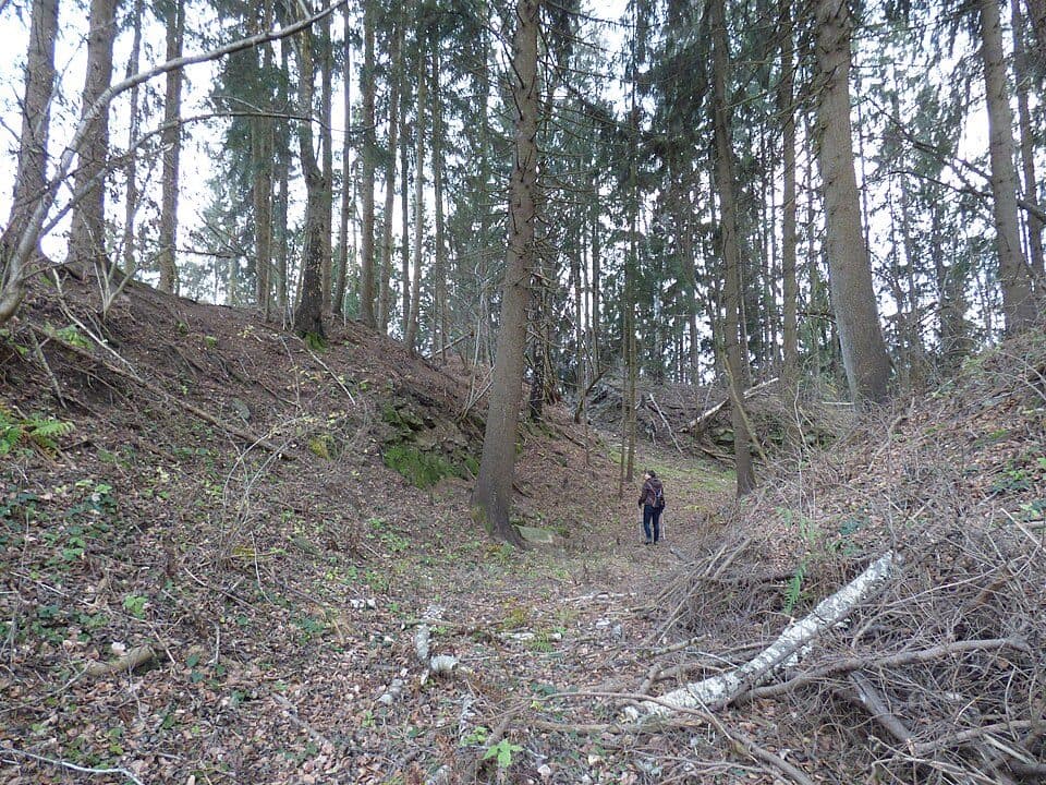 Burgruine Pöckstein