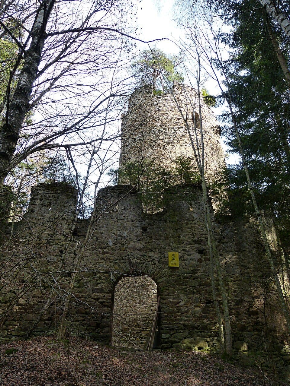 Burgruine Grünburg