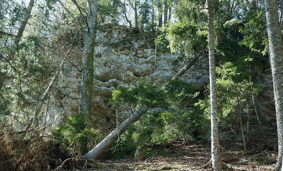 Burgruine Ras
