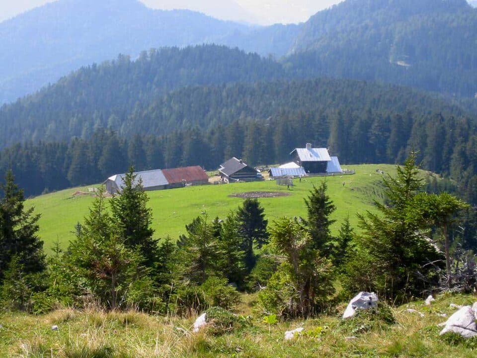 Dom na Kofcah