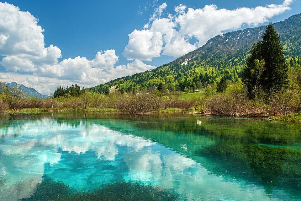Zelenci
