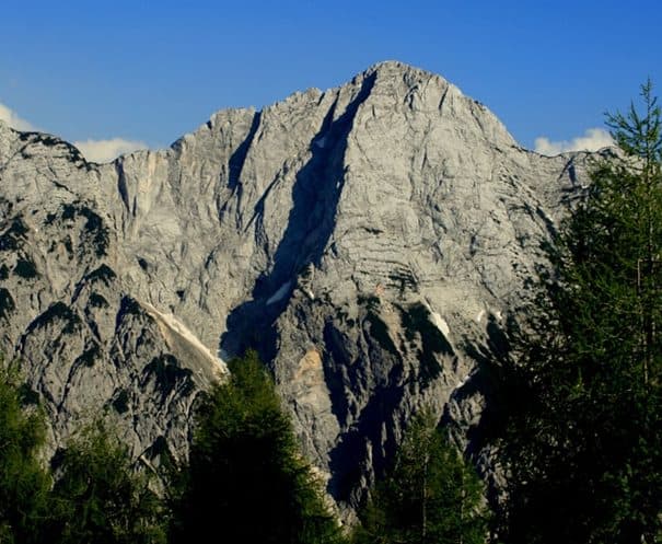 Trentski Pelc
