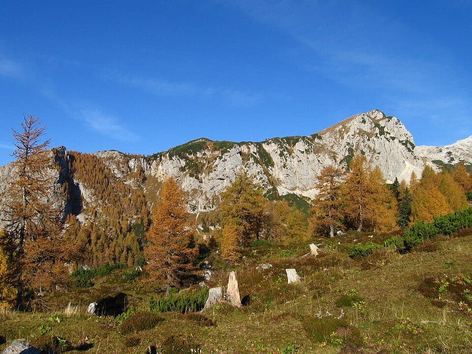 Ogradi