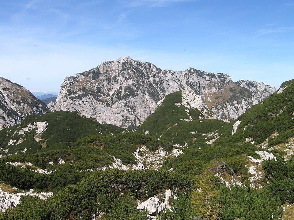Krofička
