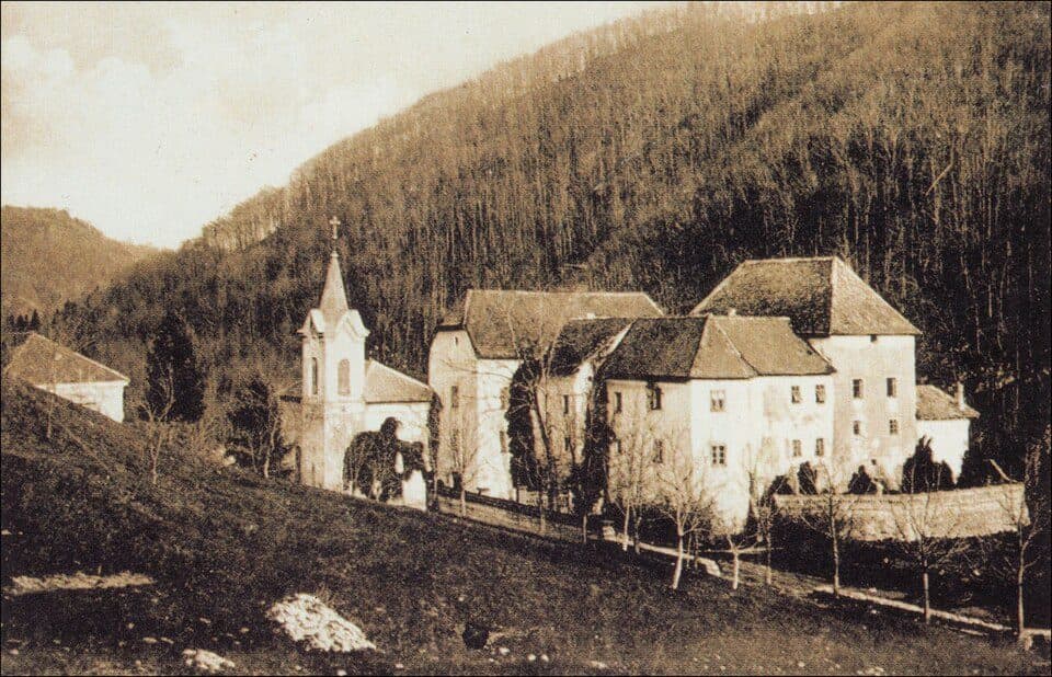 Zamek Medija