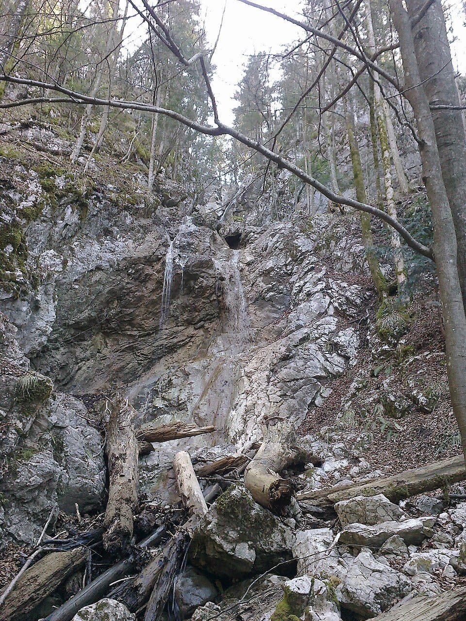Kobilji curek