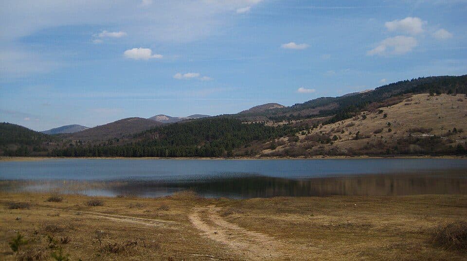 Petelinjsko jezero