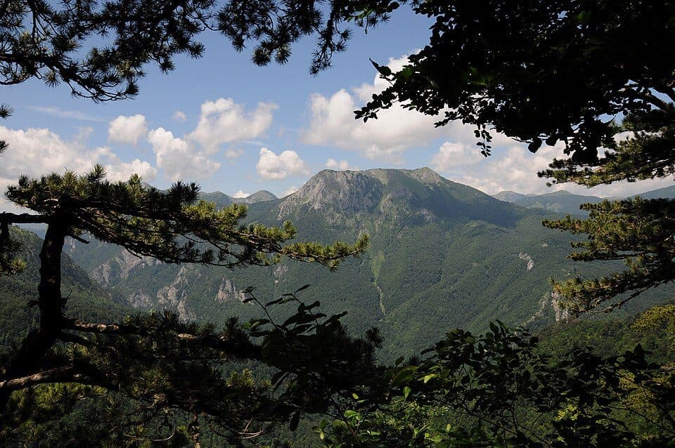 Park Narodowy Sutjeska