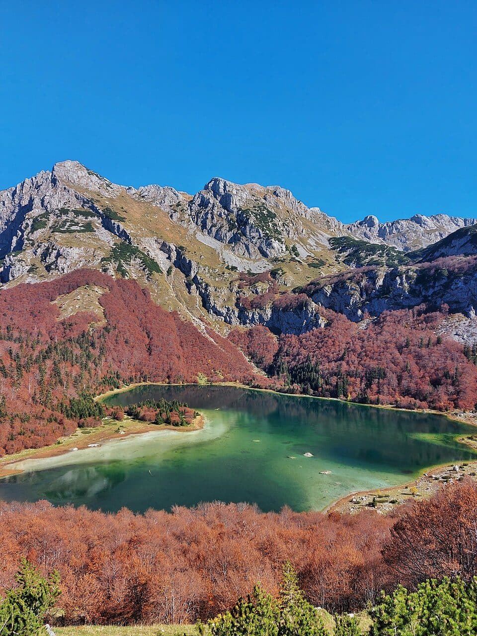 Trnovačko jezero