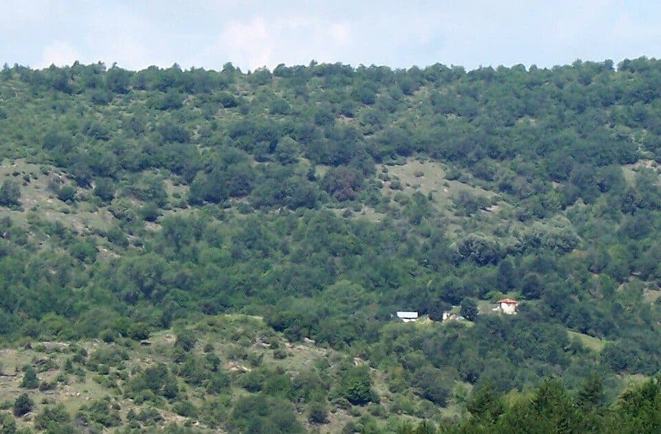 Mlisomandra (Maloshiitsa)