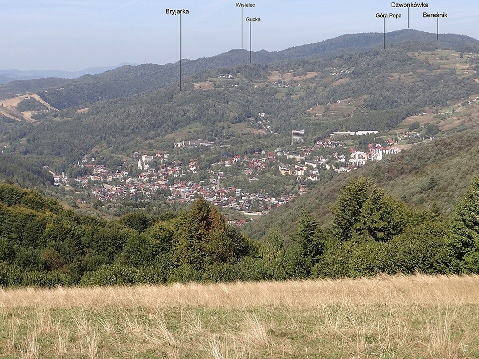 Bereśnik