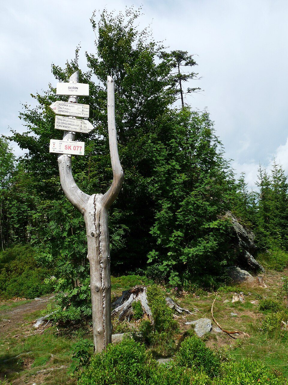 Šeřín