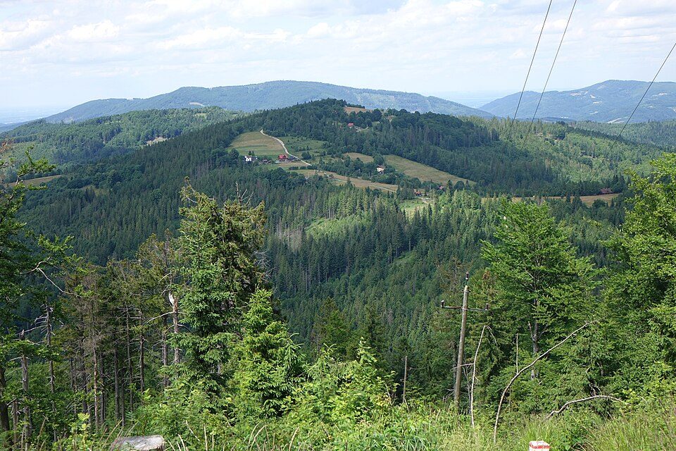 Wisła Głębce PKP – Mraźnica – Stożek Wielki