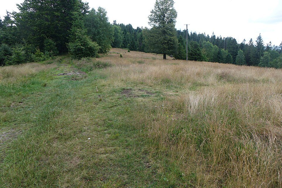 Dobka - Zakrzosek