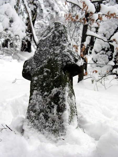 Szlak Drwali oraz Pstrąga Górskiego