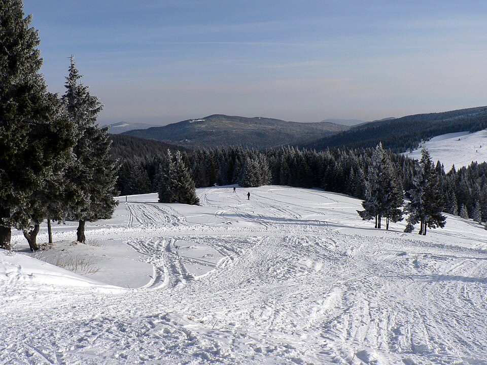 Kudłoń