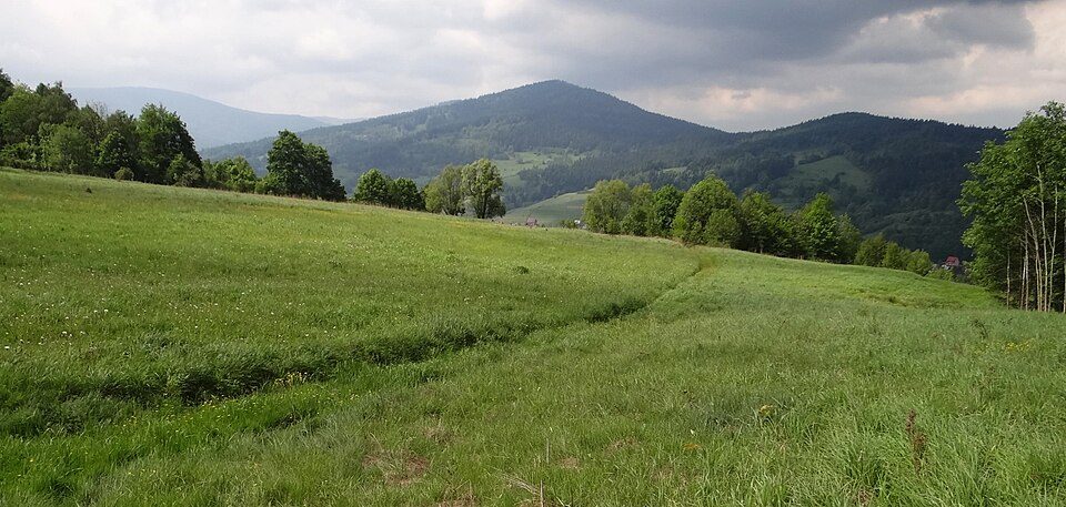 Jaworzyna