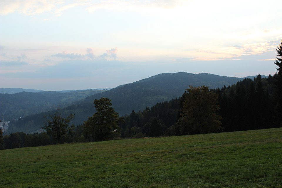 Buková