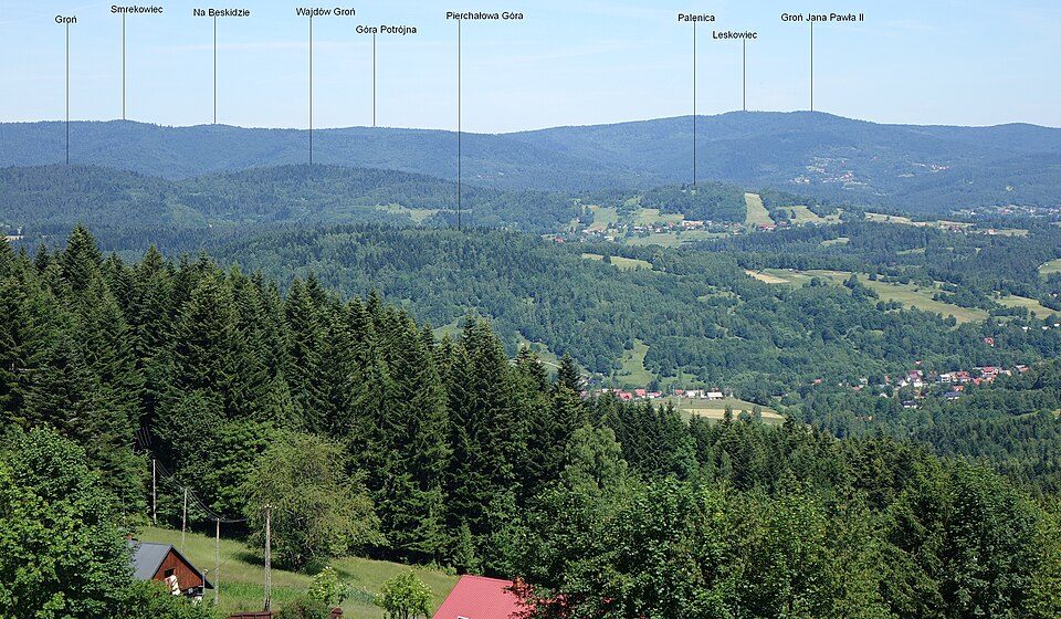 Groń