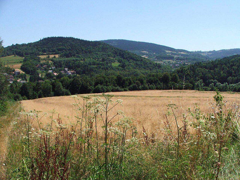 Żarnówka