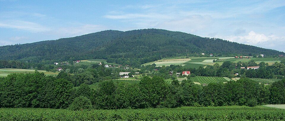 Skrzydlna - Szczyrzyc