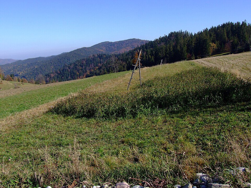 Kotelnica