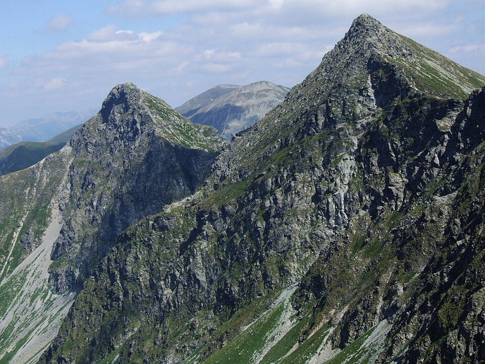 Rohacz Płaczliwy