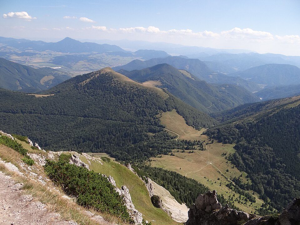 Osnica
