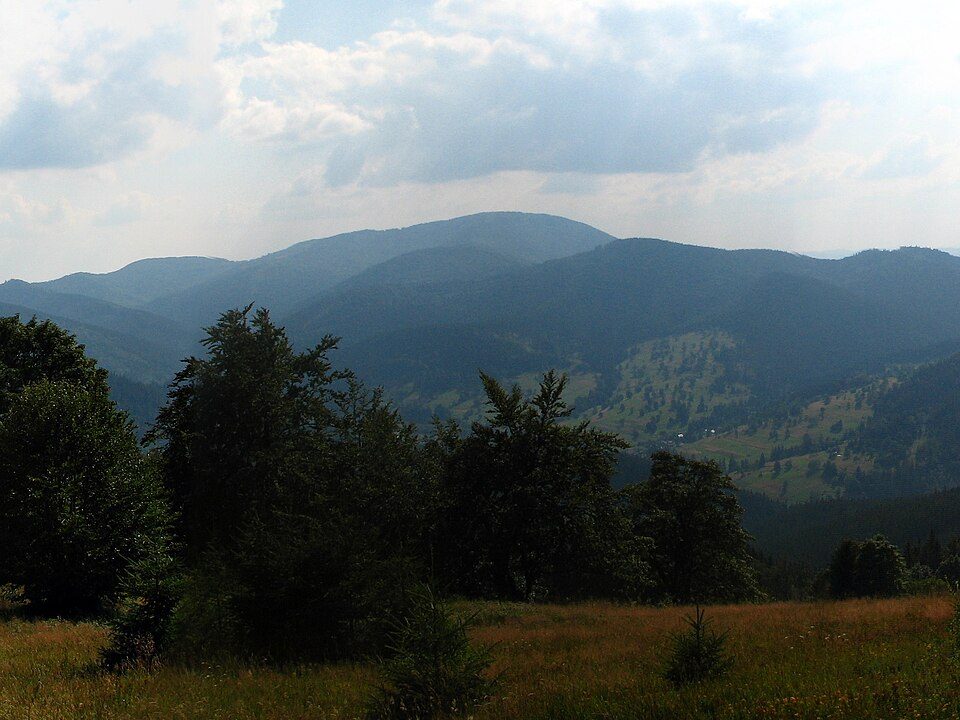 Obłaz