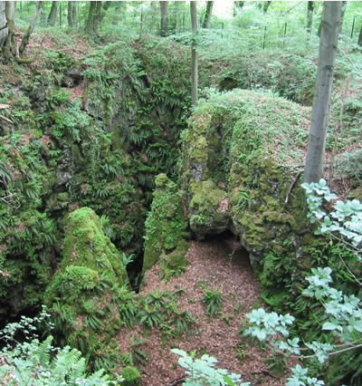 Schäfer Pinge