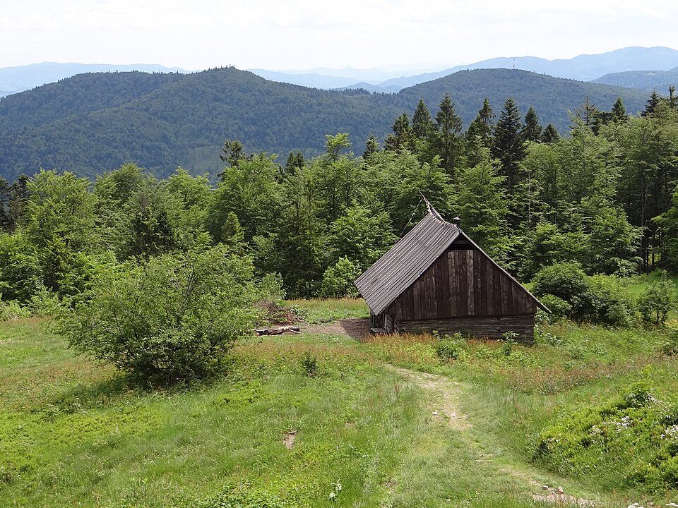 Przełęcz Borek - Rzeki - Hale Gorcowskie