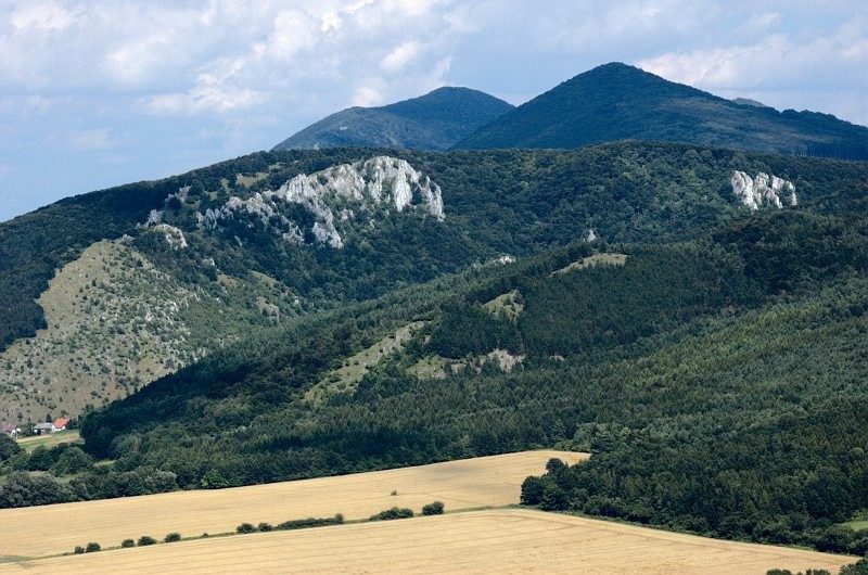 Заруби (гора)