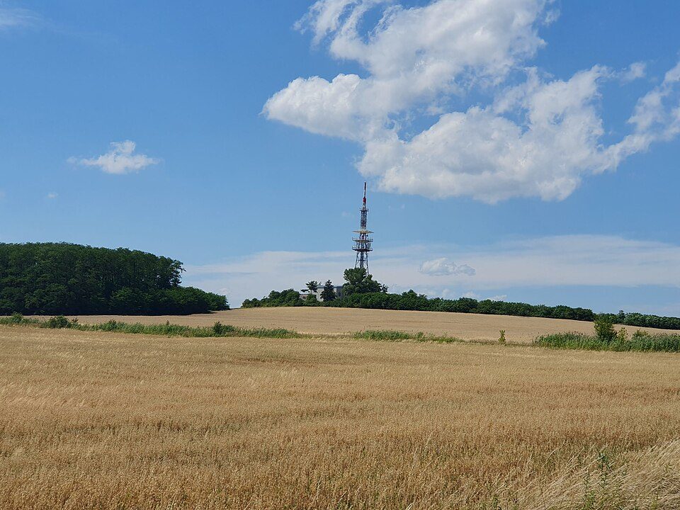 Dubník