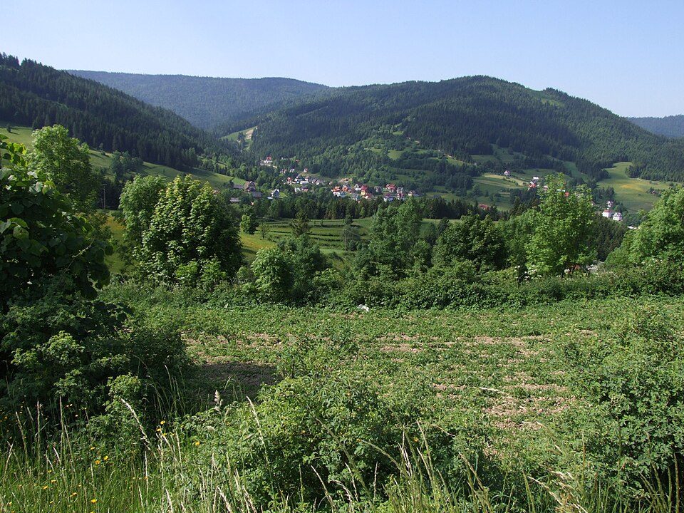 Park podworski hrabiów Wodzickich - góra Chabówka