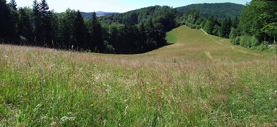 Szlak Rogasiowy (4)
