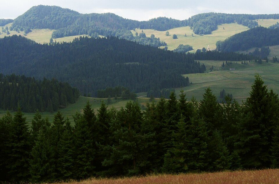 Kapralowa Wysoka
