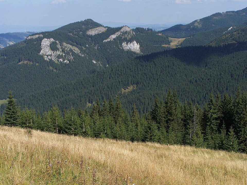 Gronik - Rówienki