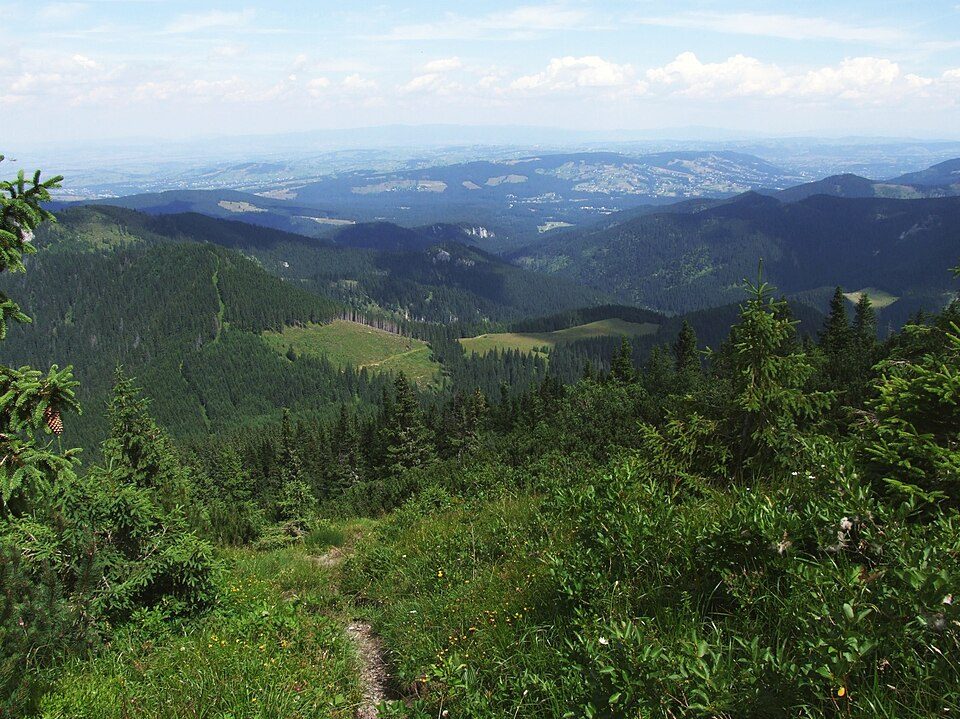 Polana Jaworzyna