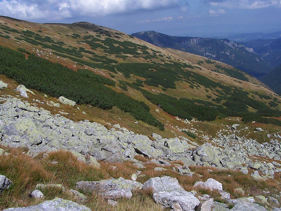 Długi Upłaz