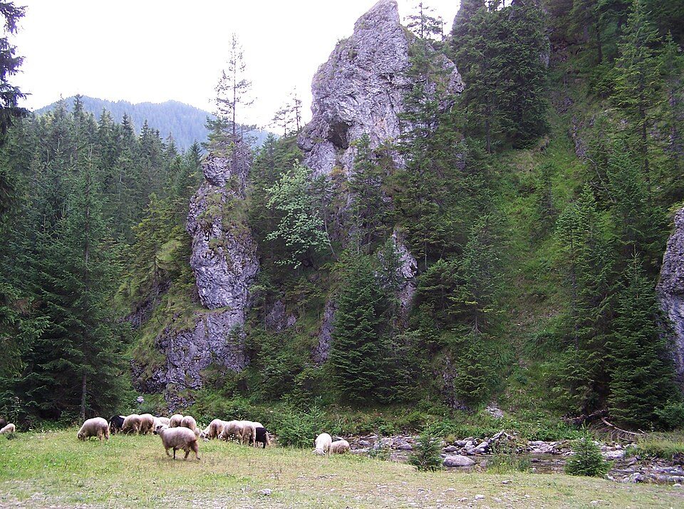 Polana pod Jaworki