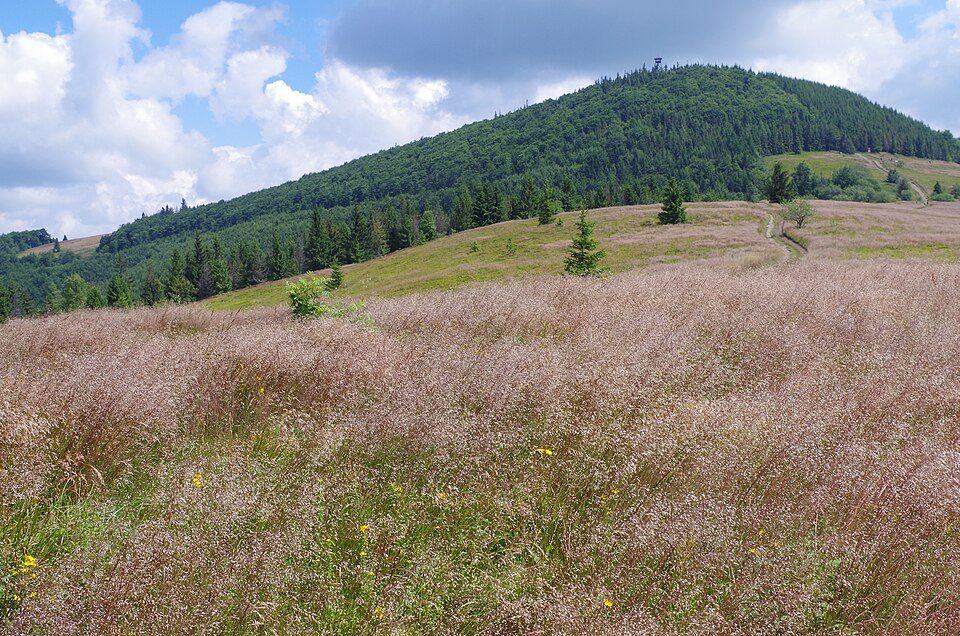 Polana Stumorgowa