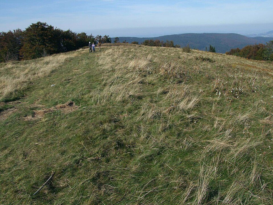 Wyśnikówka