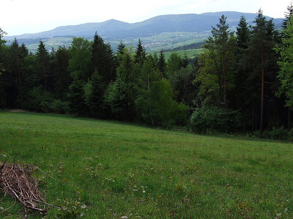 Gładkie Łaziska