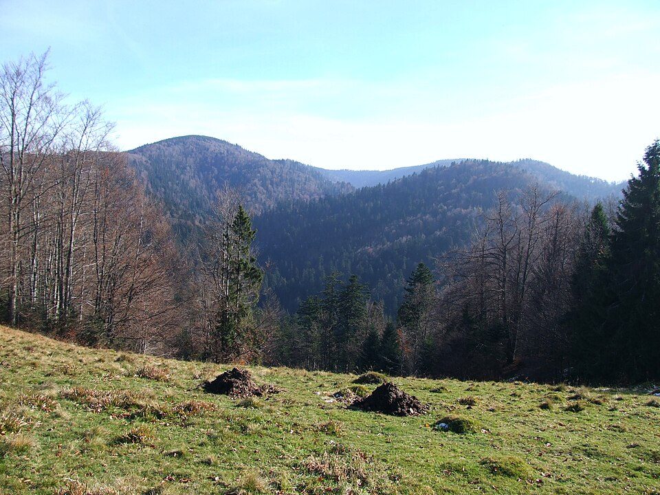 Skałka
