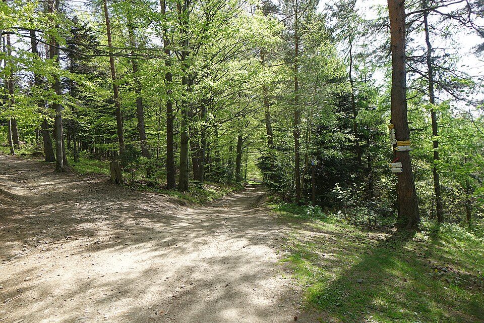 Przełęcz Bukowska