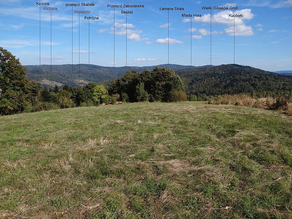 Przełęcz Skaliste