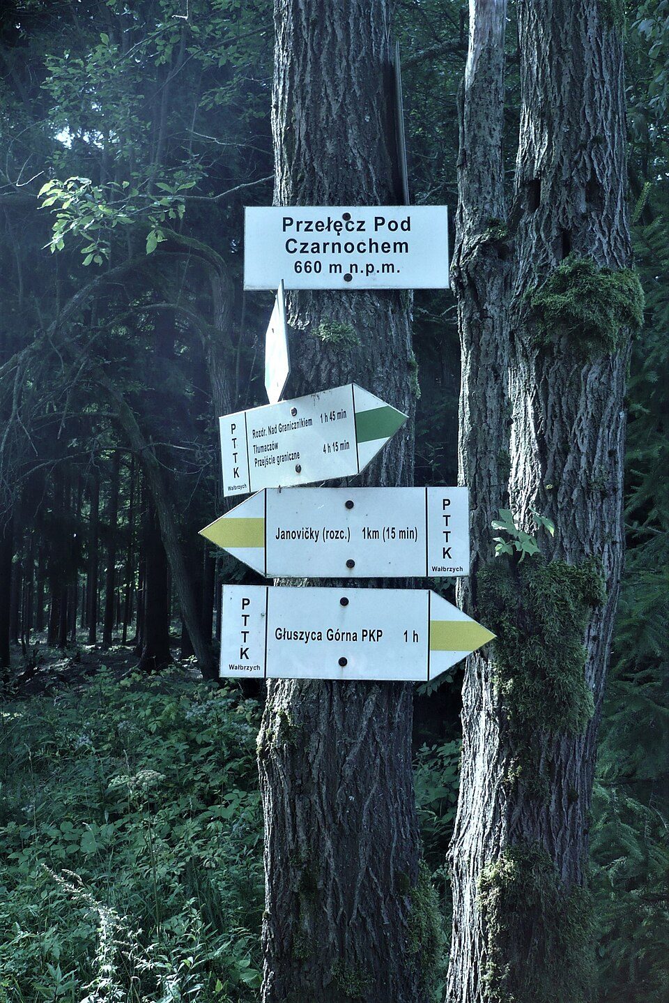 Przełęcz pod Czarnochem